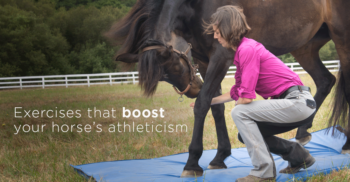Finally! Resolve Your Horse’s Posture Problems and Poor Movement Patterns